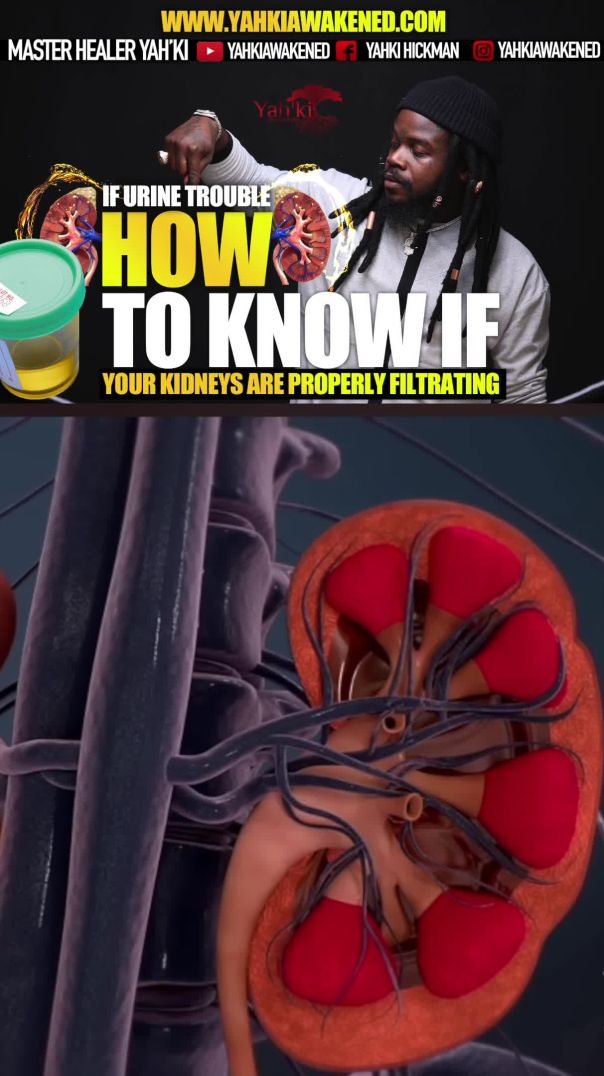How to Know If Your Kidneys are Properly Filtrating