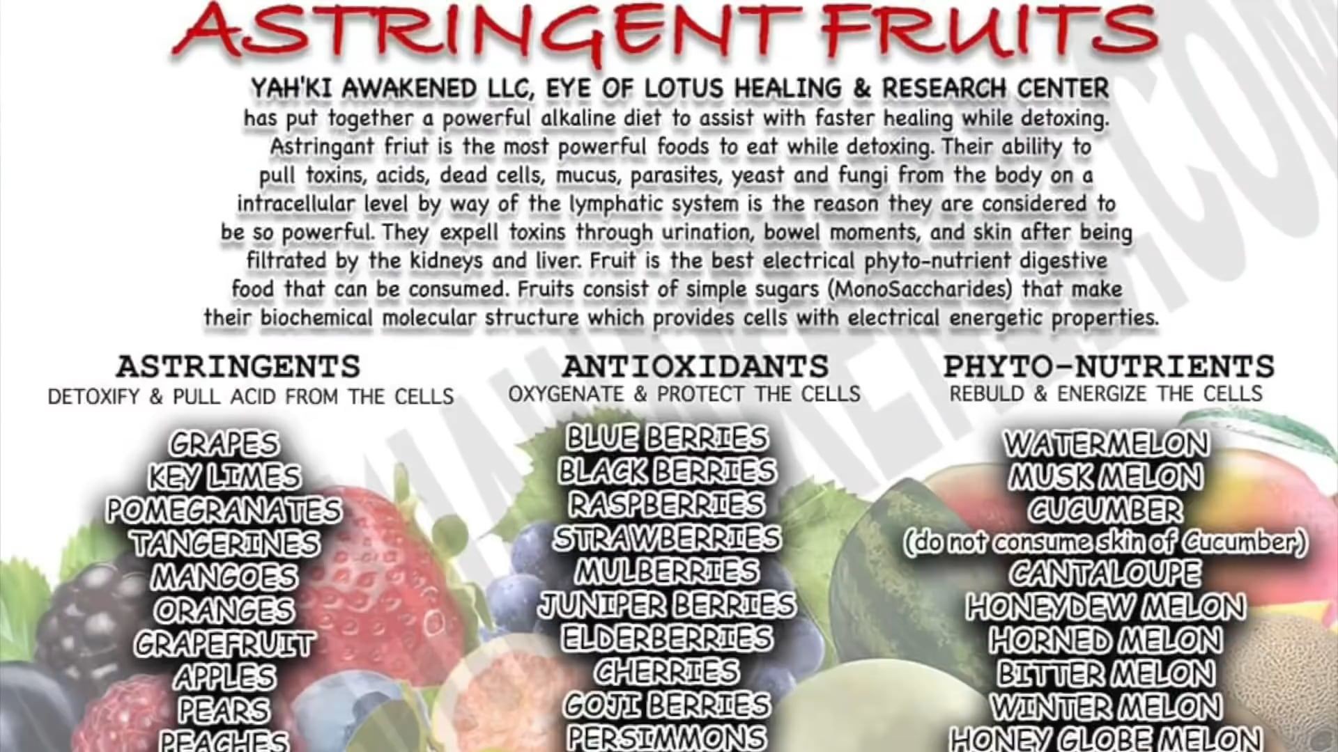 ⁣The Power of Fruits