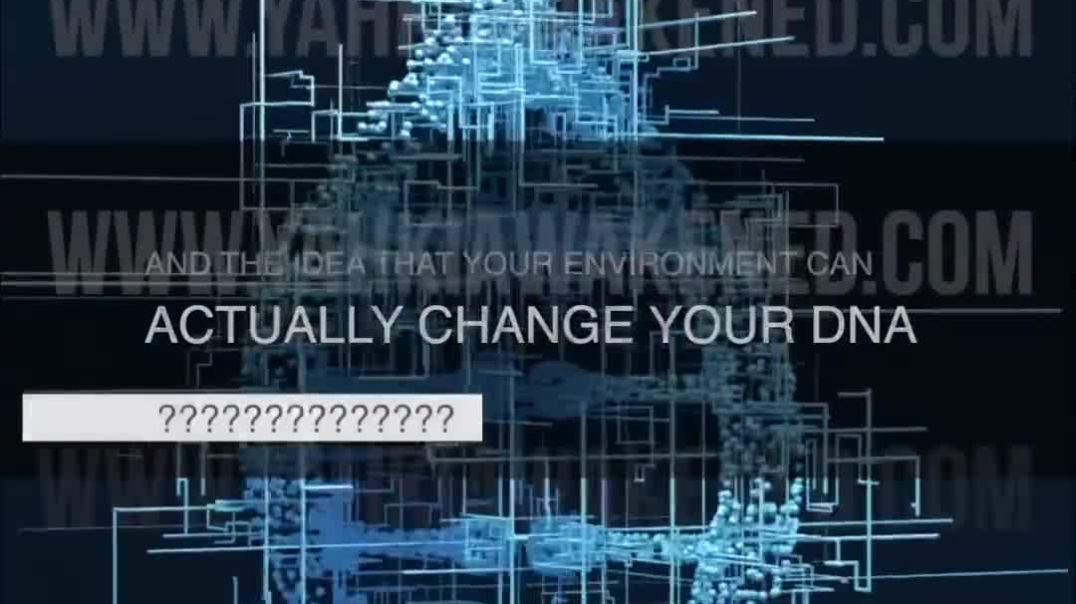 ⁣🧠 OUR BELIEFS CAN CHANGE YOUR BIOLOGICAL EXPRESSION🧬 transgenerational epigenetic inheritance🧬