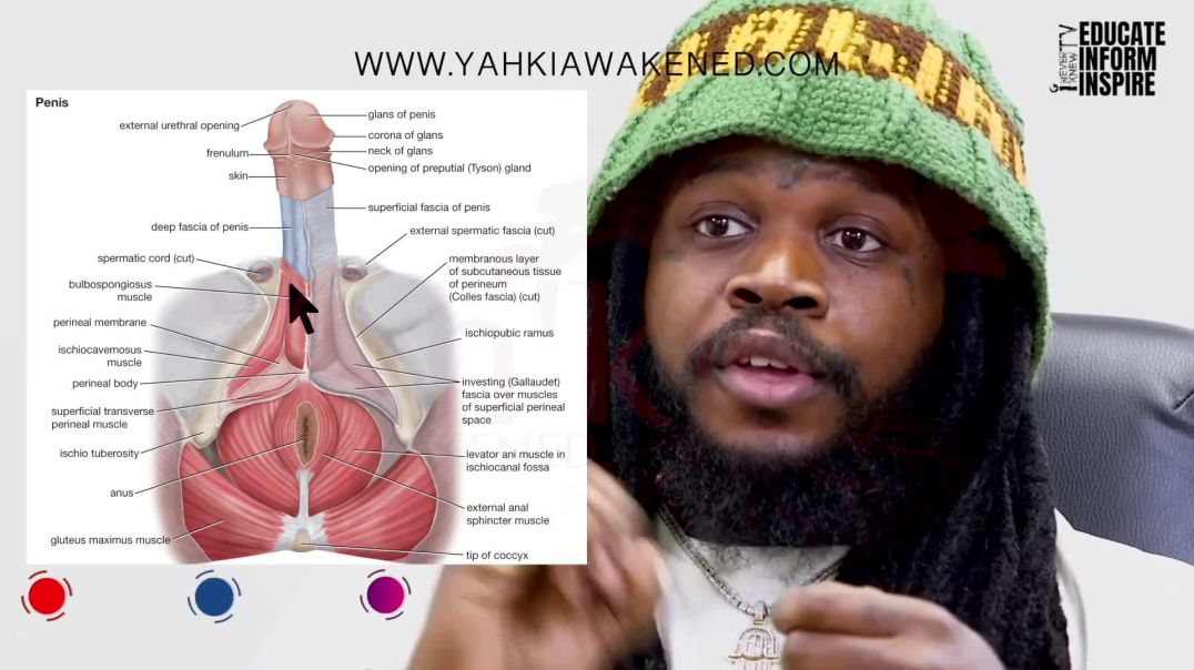 ⁣Morning wood 🍆 Is A Good Sign Of Cardiovascular 🫀 Health and Healthy Testosterone Levels 💪🏿‼️‼️