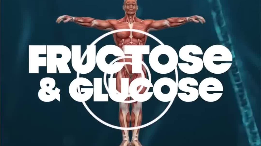 ⁣The Universal Laws Of Food Combining Is Essential For Your Health❗️