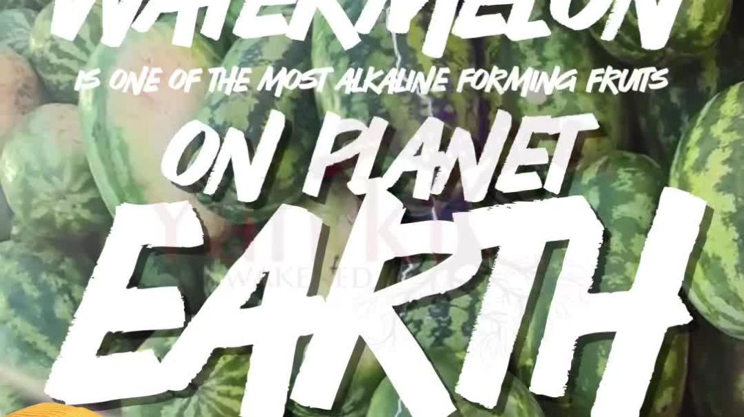 ⁣THE WONDERFUL HEALING ❤️🩹 PROPERTIES OF THE WATERMELON 🍉‼️