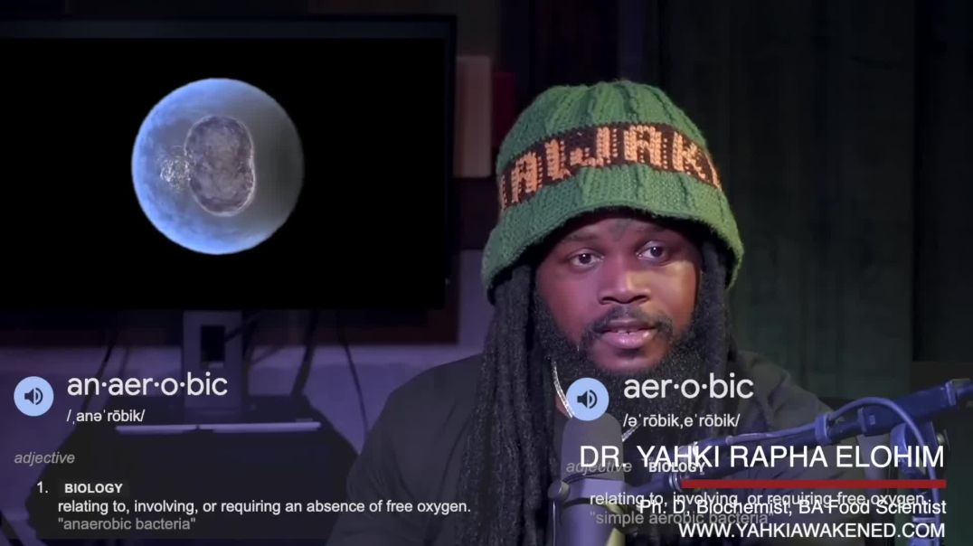 Your Perspectives & Beliefs On Dis-Ease 🤢 Will Indefinitely Influence Your Cells Behavior 🧬