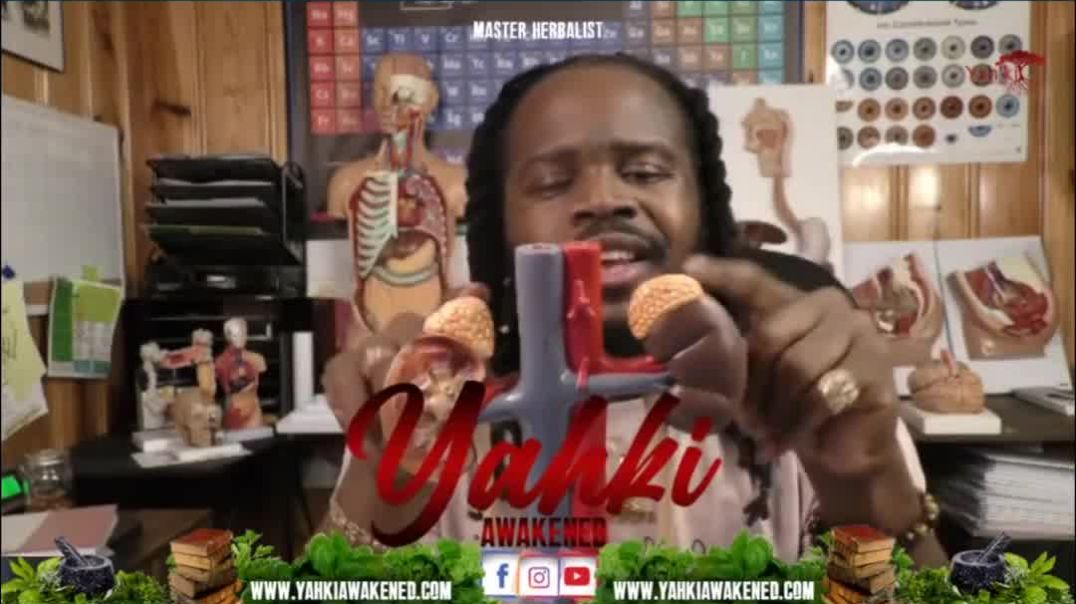 ⁣STRENGTHEN THE HEARTS 🫀 NATURALLY BUILT-IN PACEMAKER BY HEALING THE ADRENAL GLANDS‼️‼️💪🏿💪🏿