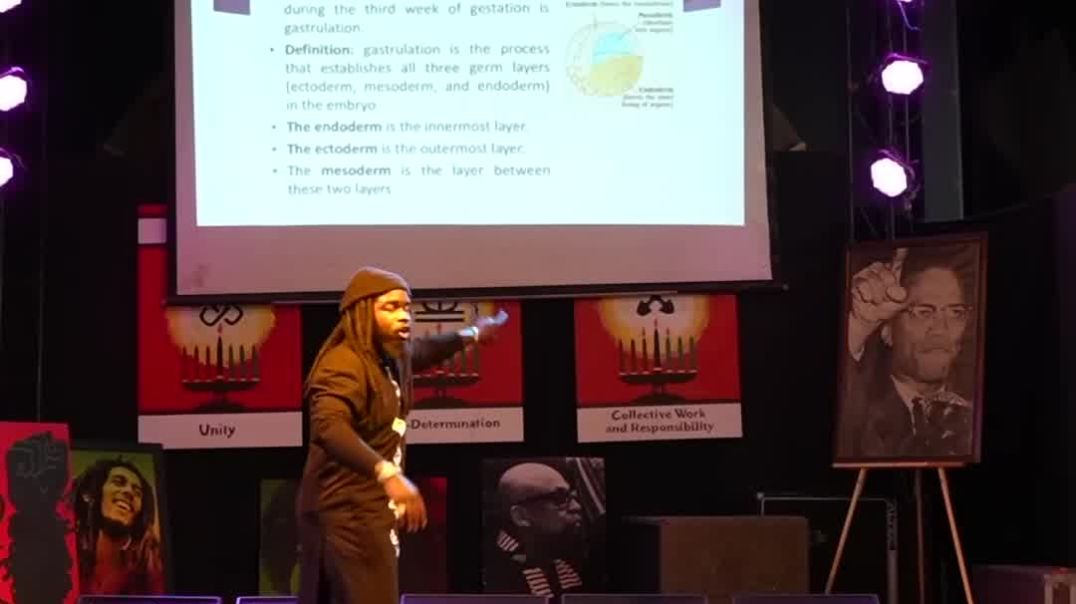 ⁣Importance Of The Black Man And Woman HAIR‼️ITS CONNECTION TO THE ENVIRONMENT ⭕️👨🏿_🦱👩🏿_🦱