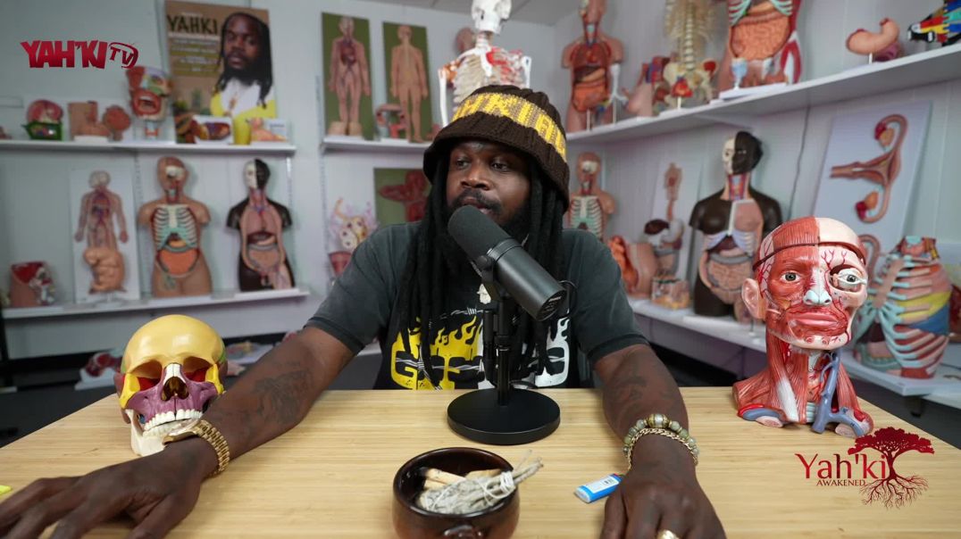 ⁣THE IMPORTANCE OF THE ETERNAL INTERNAL ORGANS OF THE HUMAN BODY & WHY ARE THEY BEING HARVESTED