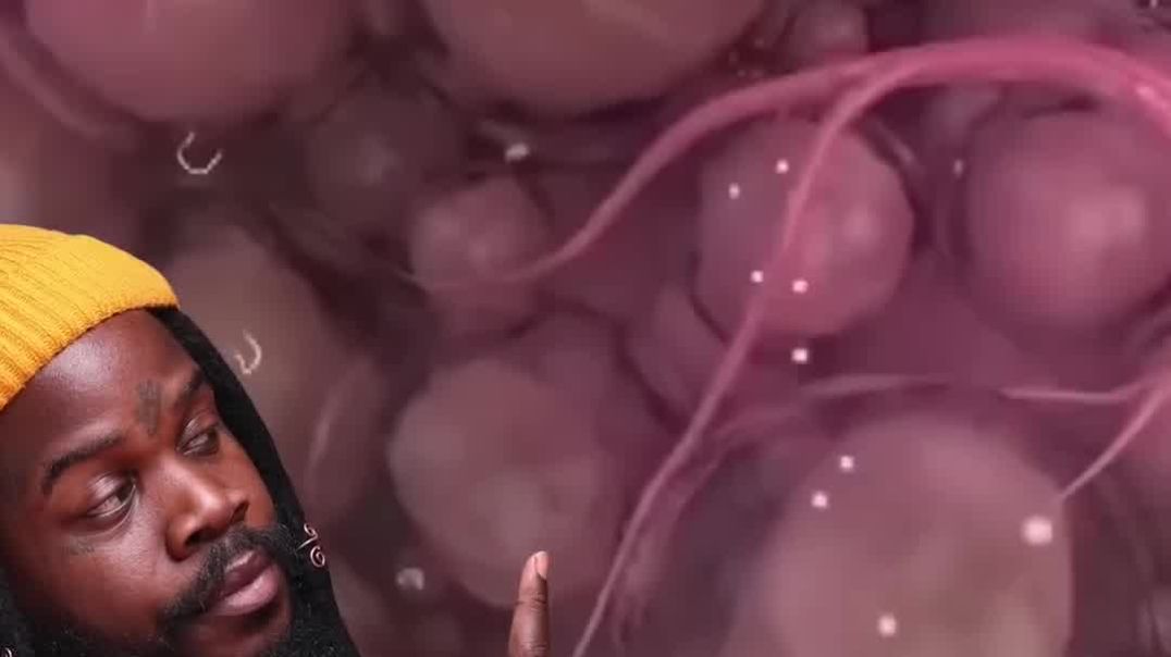 THE KEY 🔑 TO KIDNEY FILTRATION IS ADRENAL STIMULATION‼️‼️