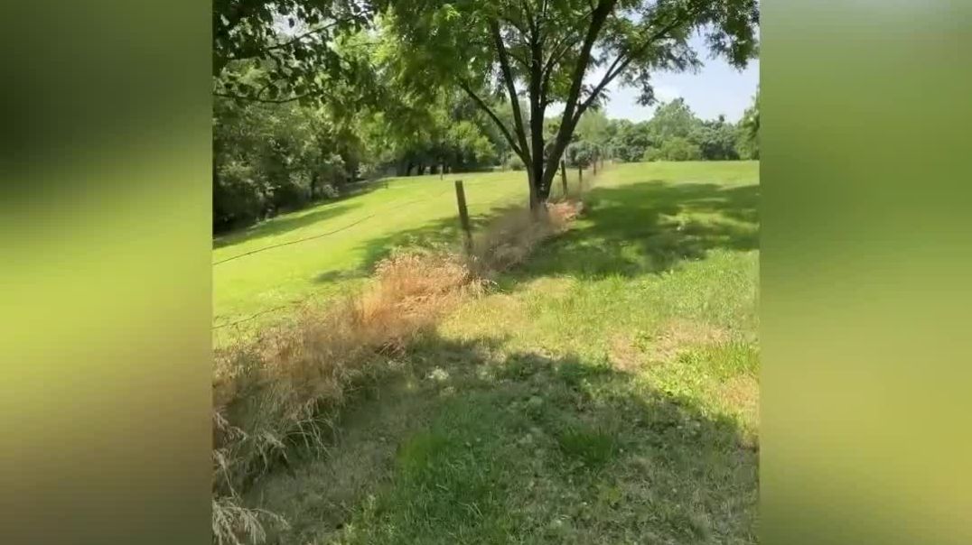 ⁣Yah’ki Speaks About His Land, Herbs, Grapes, & Creating Permaculture Food Forest‼️