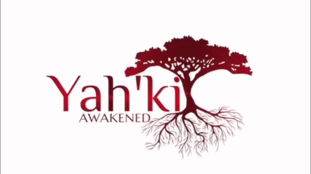 THE IMPORTANCE OF THE KIDNEYS;  ADRENALS PLUS THE VITAL ROLE THEY PLAY IN YOUR HEALING ❤️‍🩹‼️